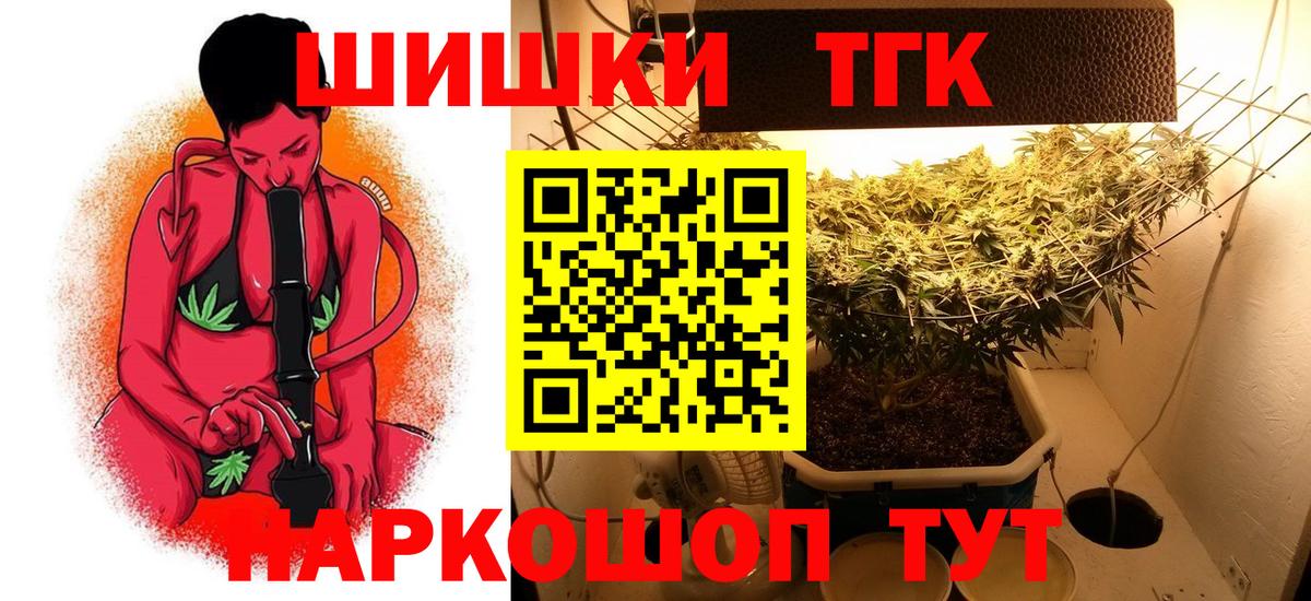 Бошки Шишки план Алапаевск